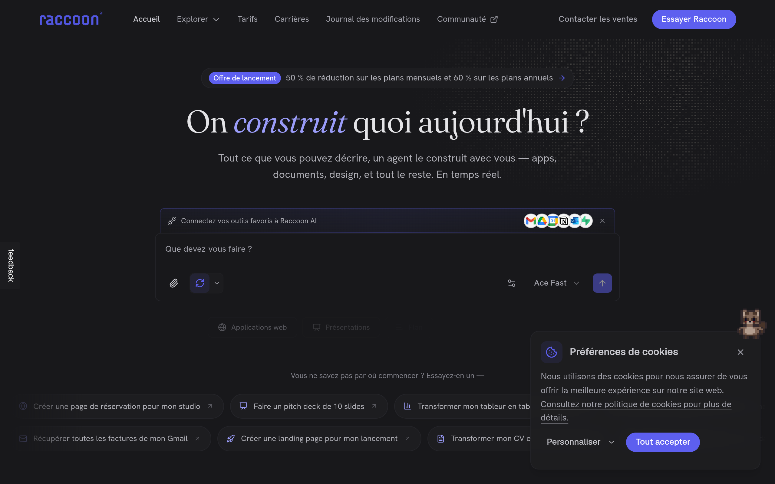 Aperçu de Raccoon AI